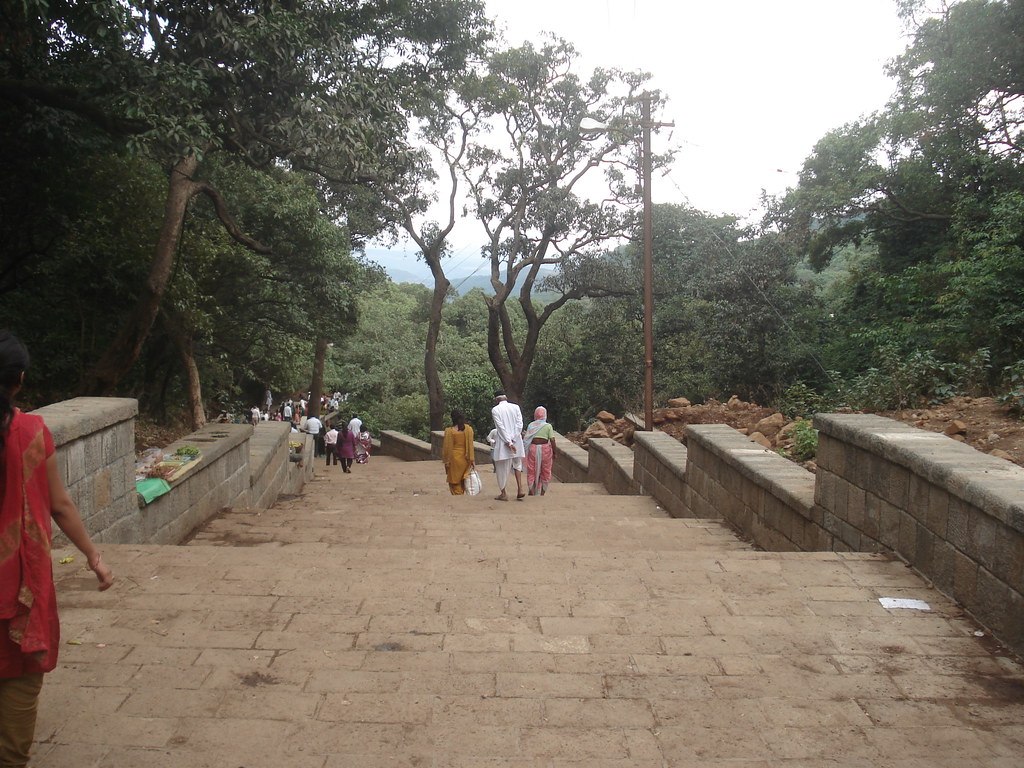 Bhimashankar Temple Maharashtra – Jyotirlinga Darshan, Timings & Travel Guide