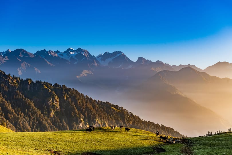 Rudranath Temple Trek: Route, Distance & Travel Guide