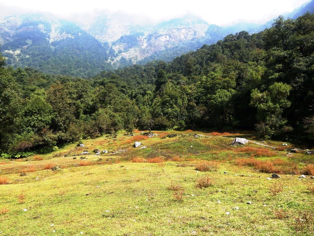 Rudranath Temple Trek: Route, Distance & Travel Guide