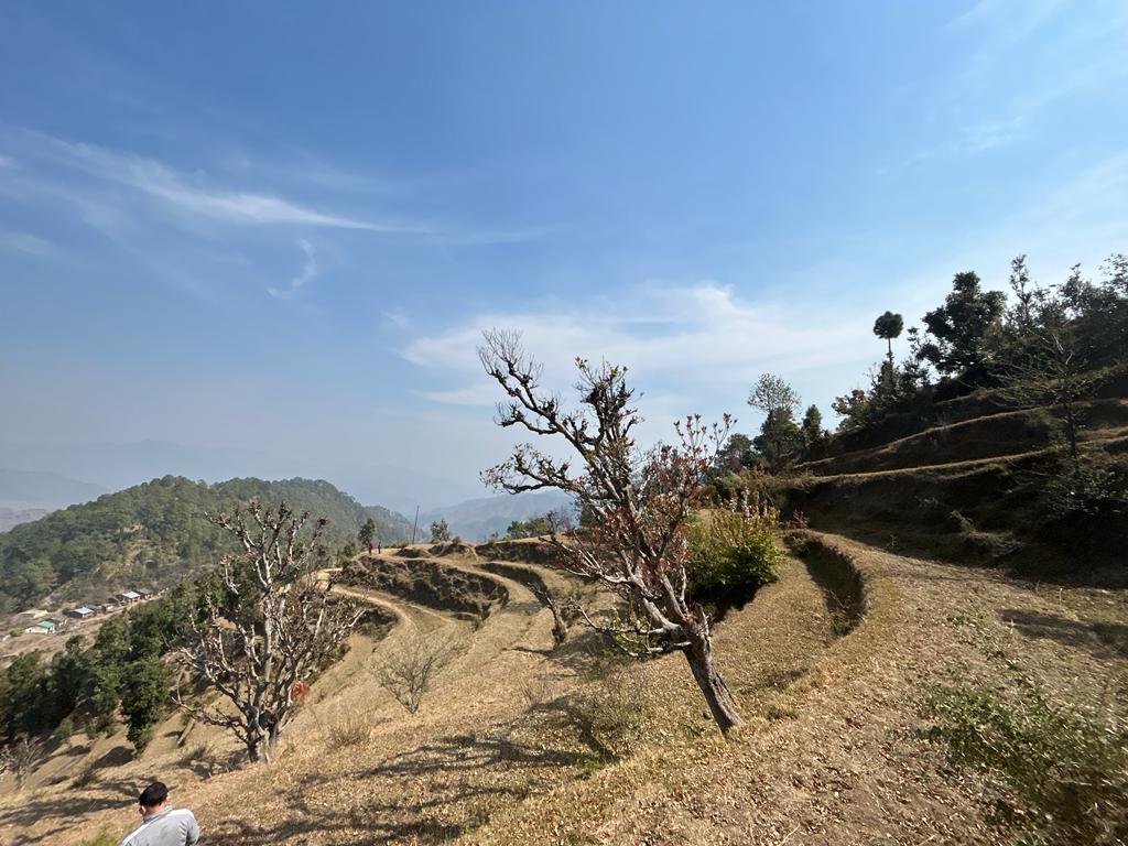 Binsar Mahadev Temple Almora – Ancient Shiva Shrine