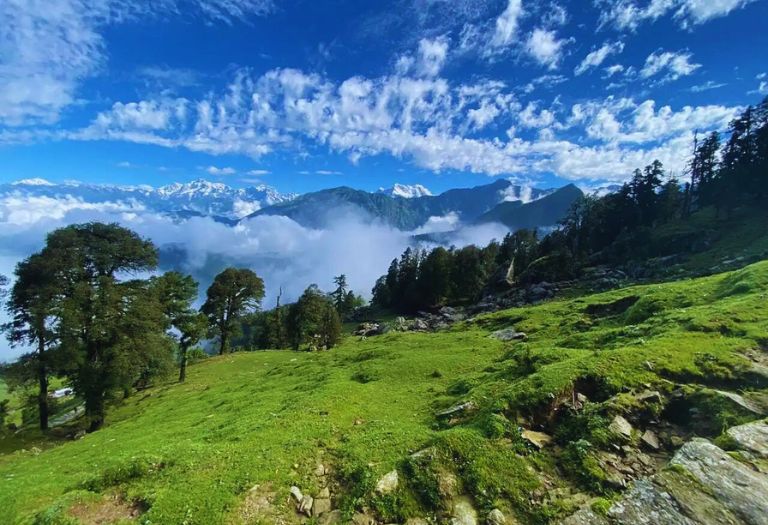 chopta mini switzerland of india