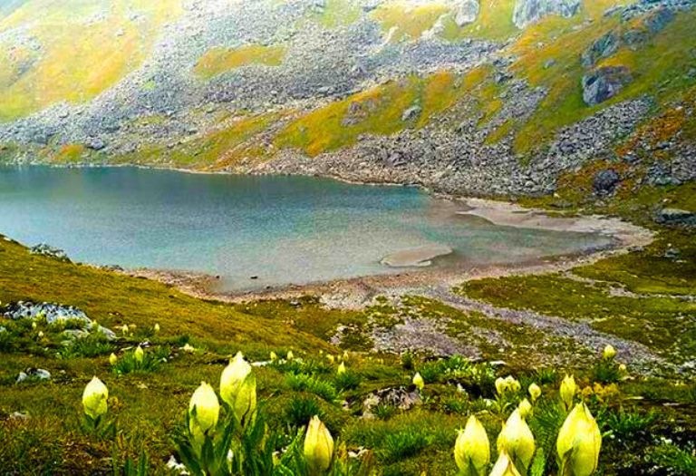 vasuki tal kedarnath
