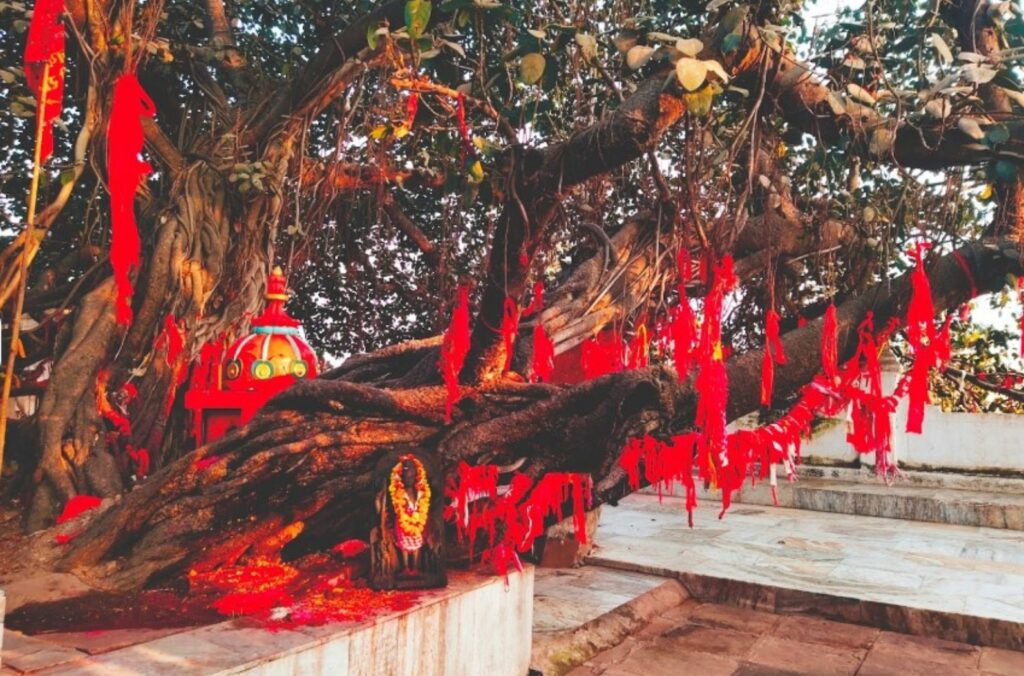 Mangala Temple Bihar – History, Timings & Travel Information