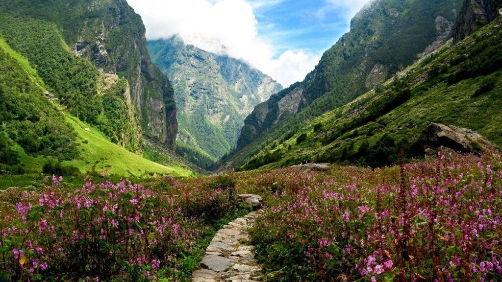 Valley of Flowers Uttarakhand – Travel Guide, Best Time to Visit & Trek Details