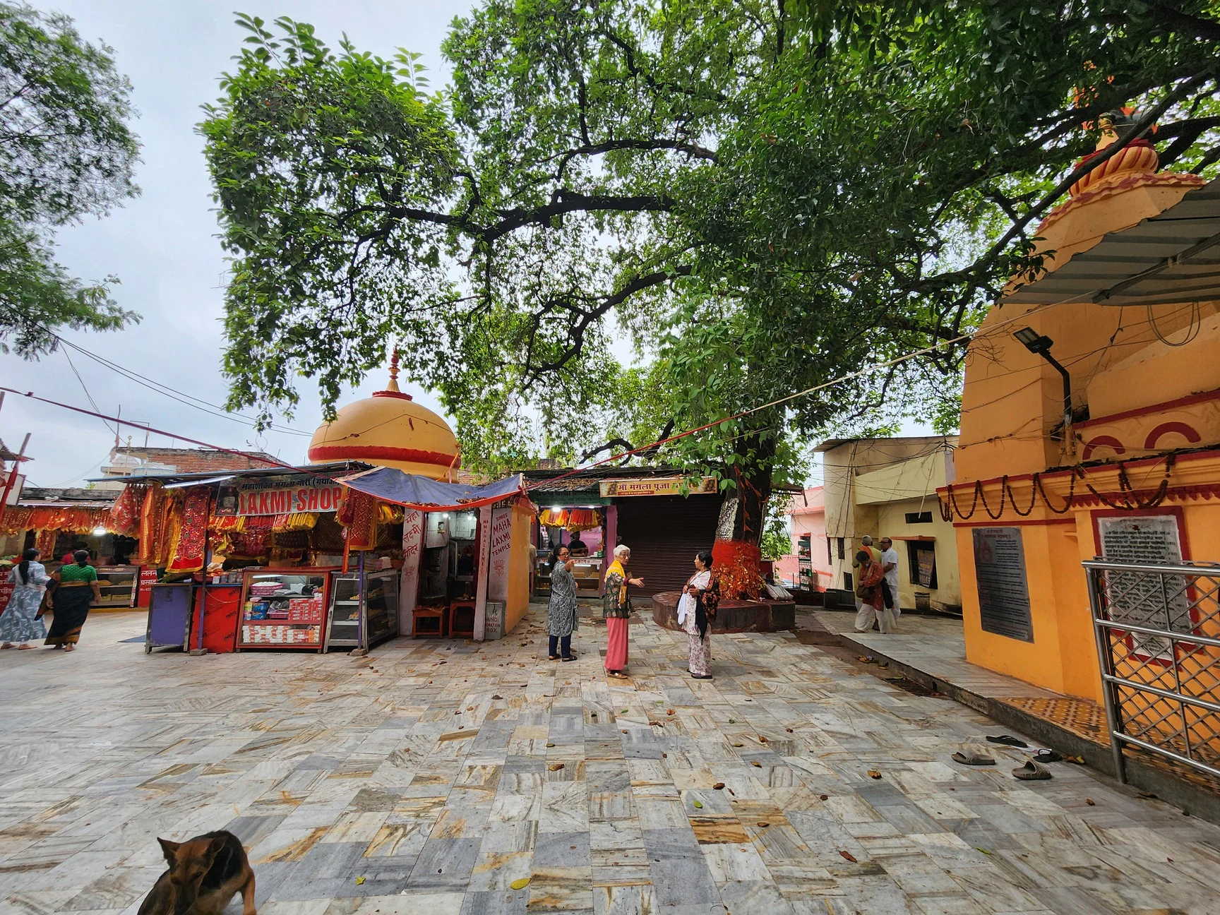 Mangala Temple Bihar – History, Timings & Travel Information